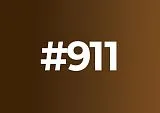 911 Каштан теплый